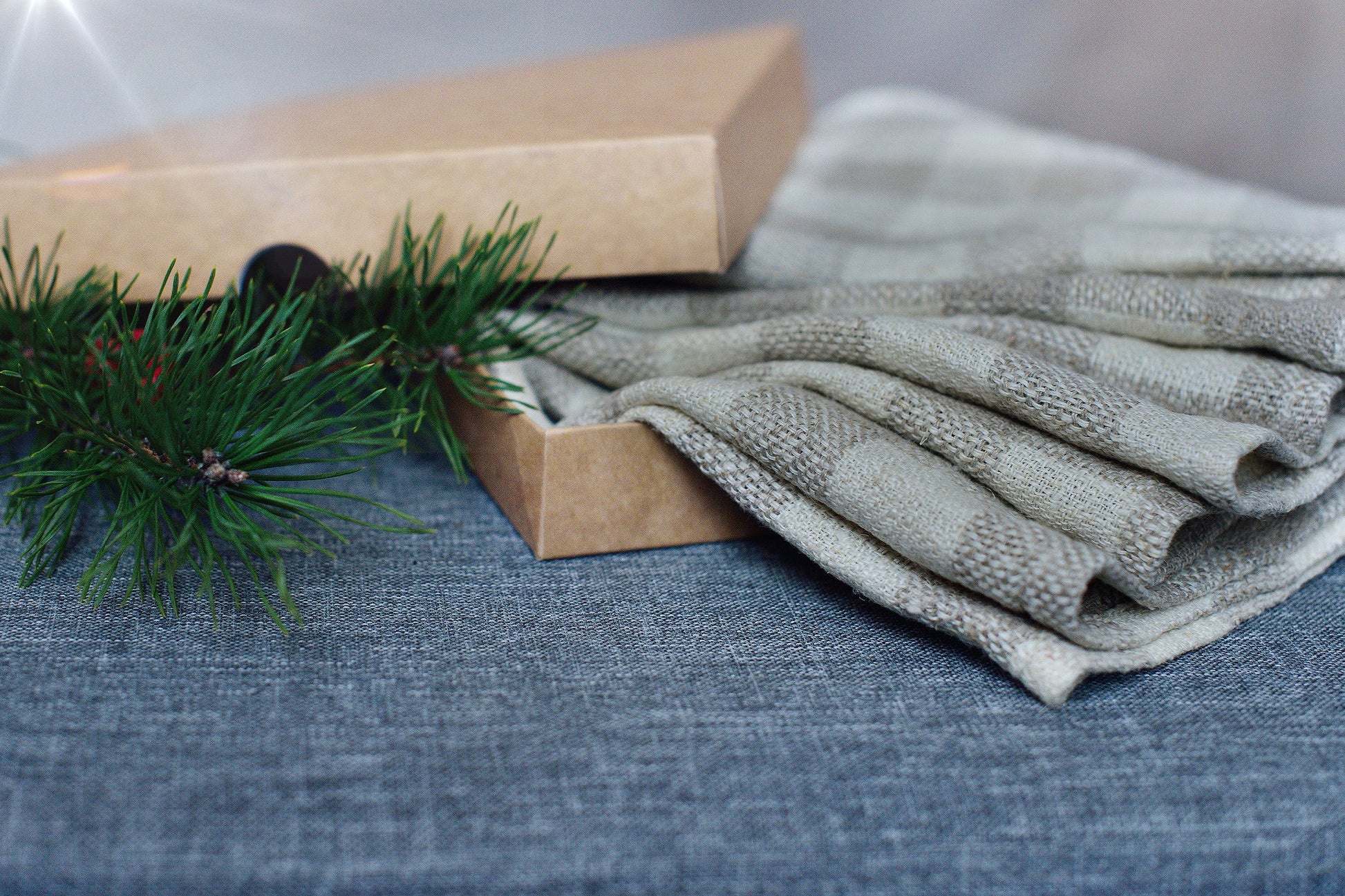 Linen Natural Napkins Checkered in Rough Quality Undyed Flax