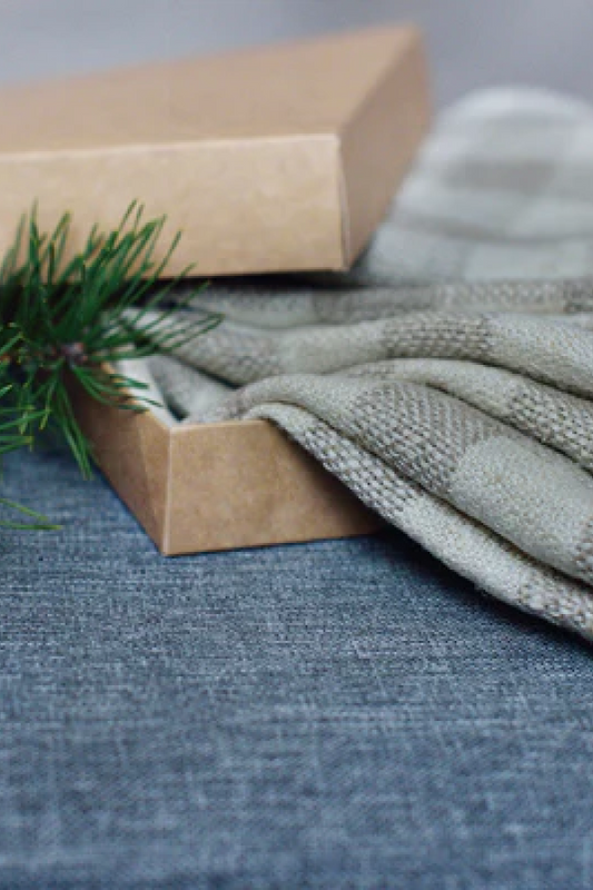 Linen Natural Napkins Checkered in Rough Quality Undyed Flax